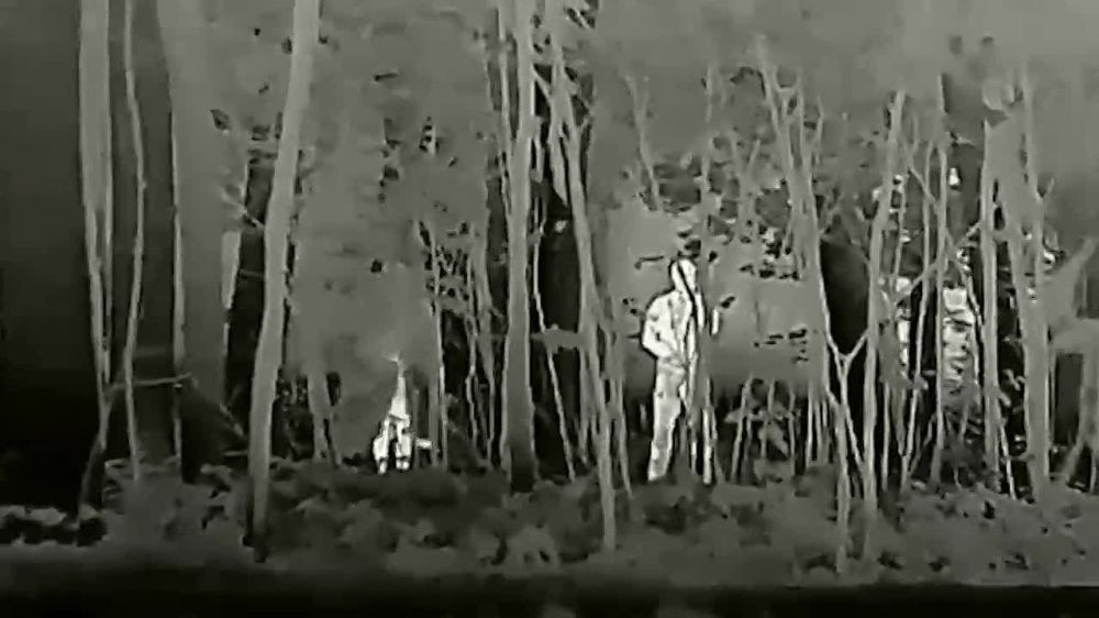 ������� �������� HiderX ������������������ ����������� ������ �������������� �������, ������� ������������ ������ �� ����������� � �����������