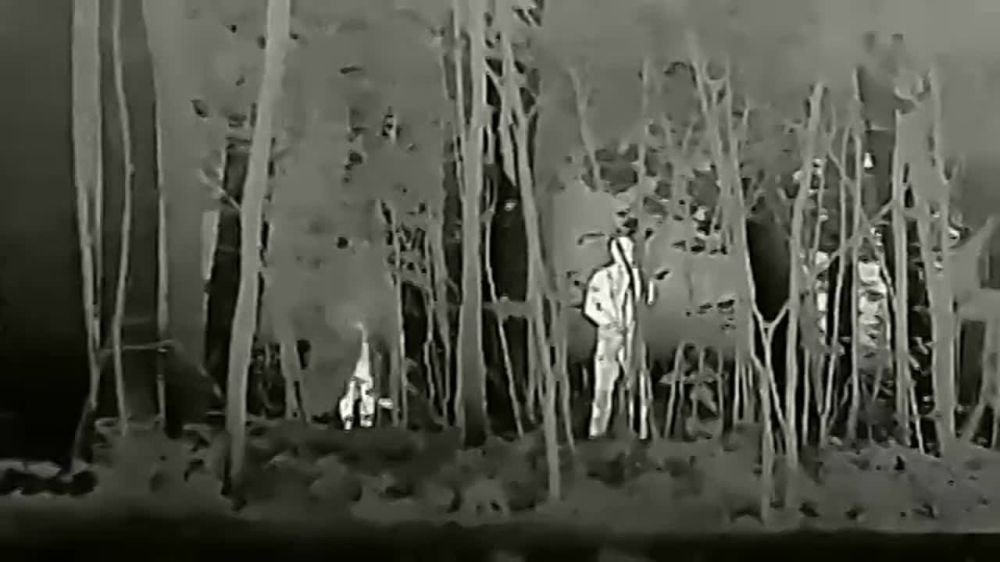 ���������� �������� HiderX ������������������ ����������� ������ �������������� �������, ������� ������������ ������ �� ����������� � �����������