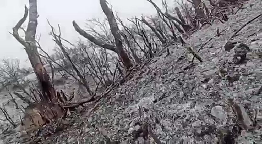 ����� �������� ��� �����, ��������� ����� �������� ��� ������� ����� ����������