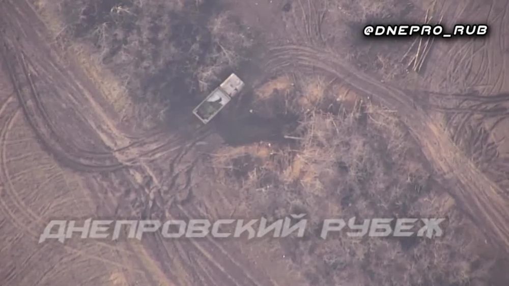 ����������� ����� "�����". ���������� �����������. �.�. �������