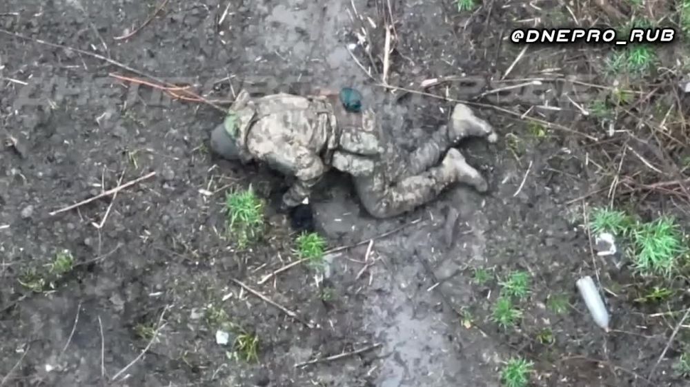 ������������ �������������� 35,36 � 38 ����� ����������� ���,��� ������ � ������� �������������� �� �� ��������, � ����� ����, ��� ���������� �� � "��������� ��� �����", ���������� ������������� �����-���� ����������