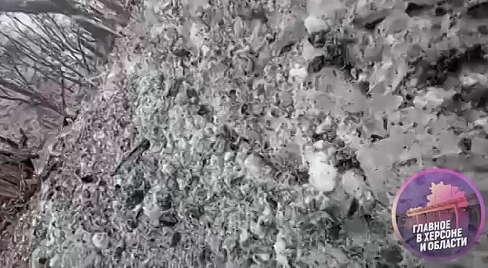 �� ���������� �� ������� ���� ������, ����������, ������� ������!�, � ������� ������� ���� ������ ����� ����� ��������