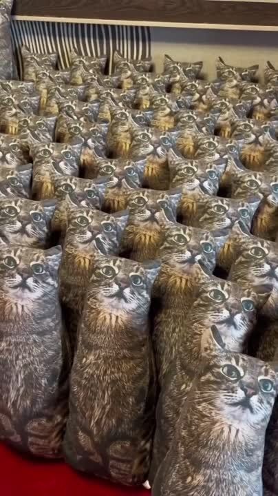 ������� ���������� ����?)