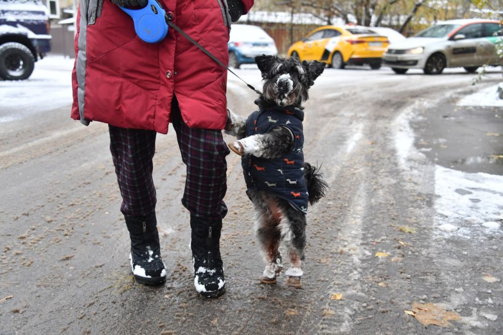 20 ������ � ���������� ������� ��������� �������� � ������������ ������