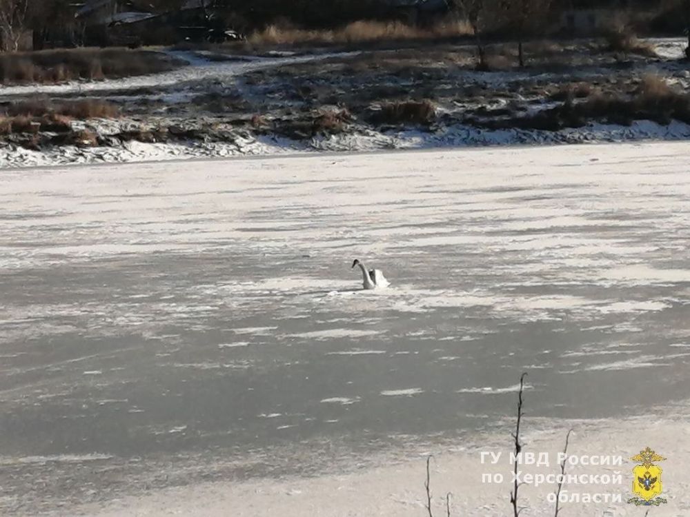 �������� ������ �� ������� ������� � �������������� ����� ������� ������� ����� ��������� �� ��������� �����