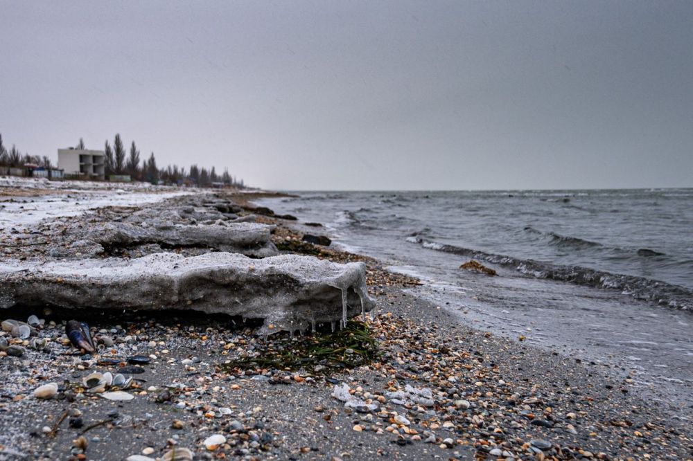 �������� ������ ����������, ��� ���� ��������� ����� � ������ � ���������� �������