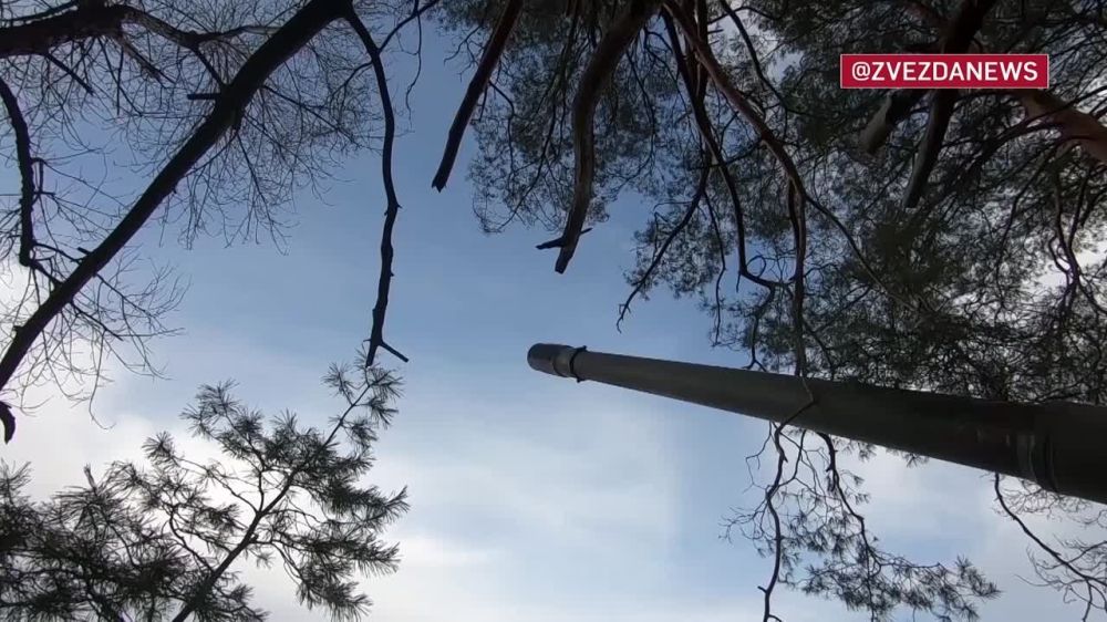 ���������� ���������� ������� ������� ���, ������ �� �������� �� ������ ������ ������