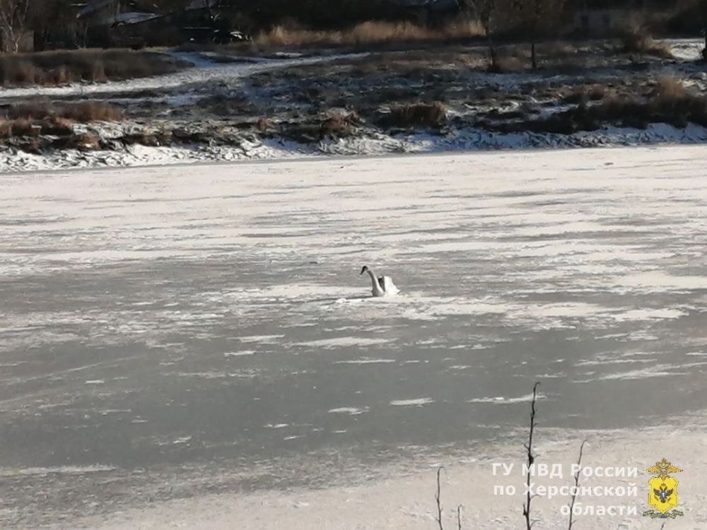 � ���������� ������� ���������� ���������������� ������� ������������ ���������