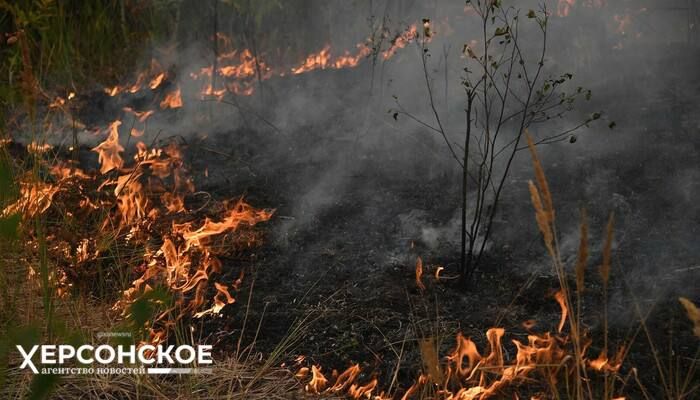 ���������� ������� ���� �� ������ � ������ ����������� ���� ������� ������ ������� �� 2024 ���