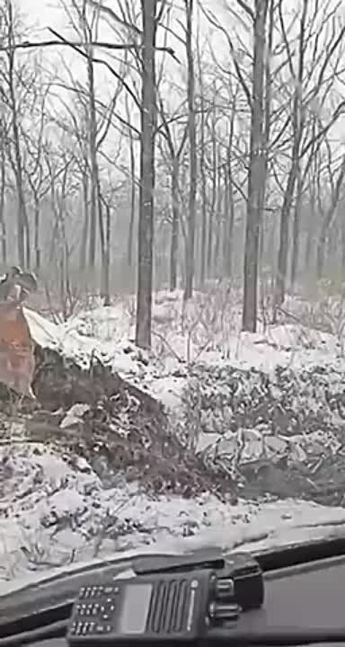 ��� ��� ���������� ��������������