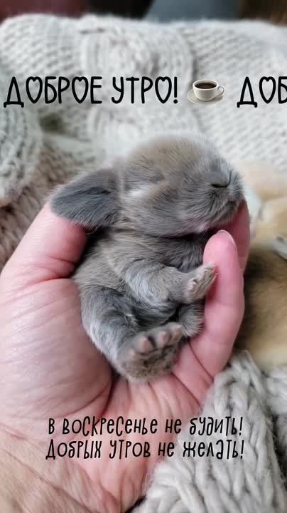 � ������ �����, �����������!