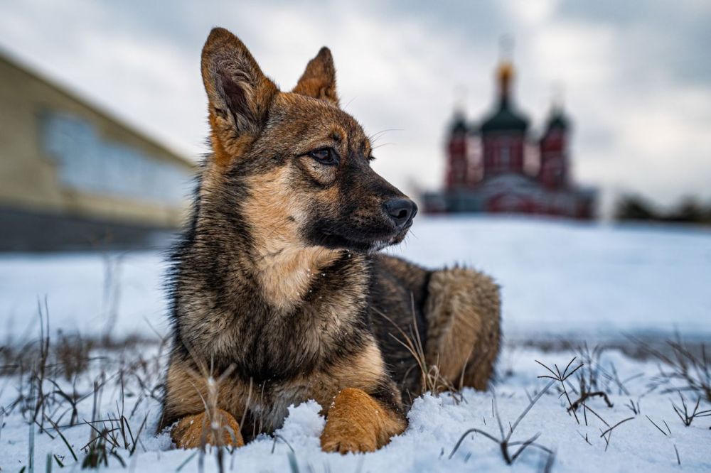 �������� ������: ���� 2023/24 ���� �� ��������� ׸����� � ��������� ����� � ���������� ������� �������� ������