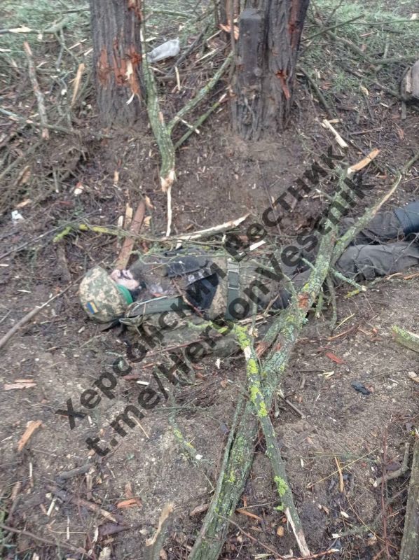 �.�. ������. ��� �� �����, ���� "���������" � ������ ������ �� ��������, � ���� "���������" �������� ����� ������, ���� ���...