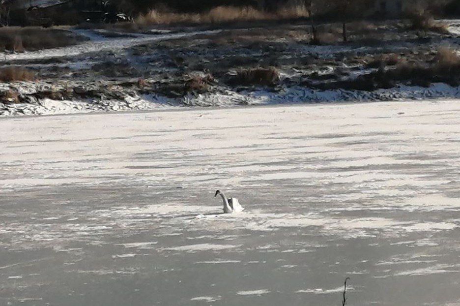 � ���������� ������� ����������� ������ ������������� ������