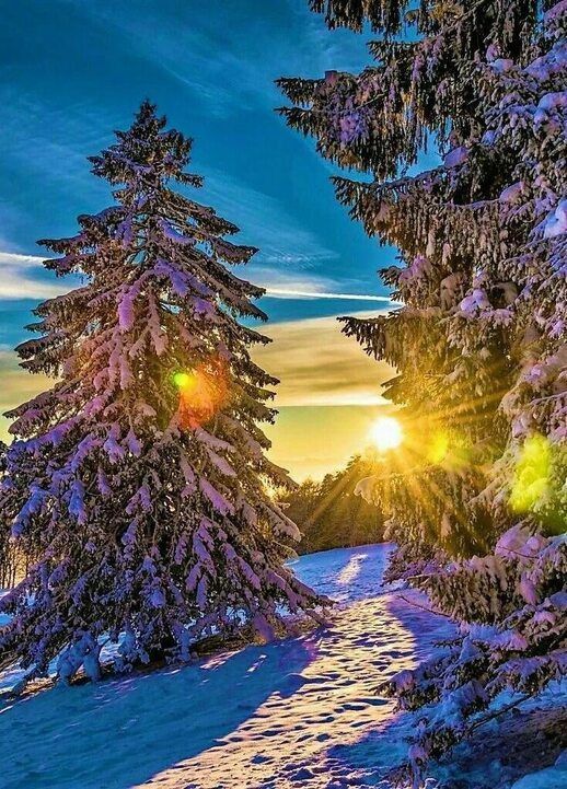 ������ ����. ������� ������� � ������ ���� � �� �������� ������, ���� � ������� ����� ������� ��������. ��� �������. ����������� �� -4 ����� �� +2 ����