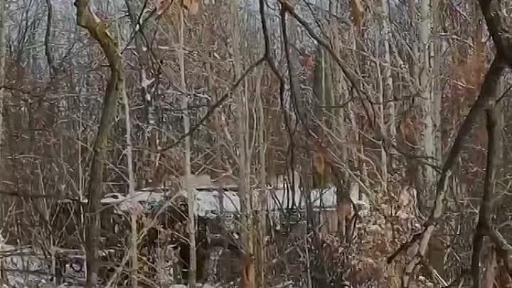 �� �������� ������ ������� ����� ��� ��������� ���������� 60 ������� �������� �� �������