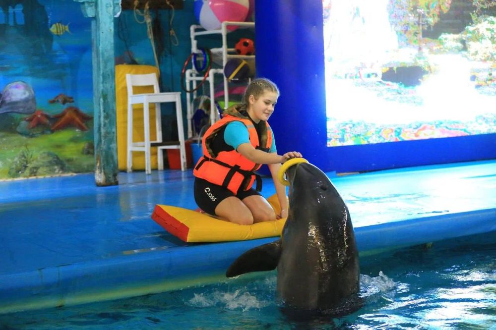 ����� ������� ��������� �����