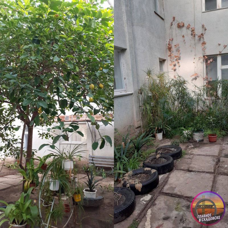 ���������� ������������� ����� �������� ������ ������� ������ ���