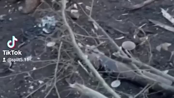 ������������ � ������ ���������, � ���� ��������������� ������, ���������� 105-�� ������ ����������� ����� L119, ���������� �� ��������������