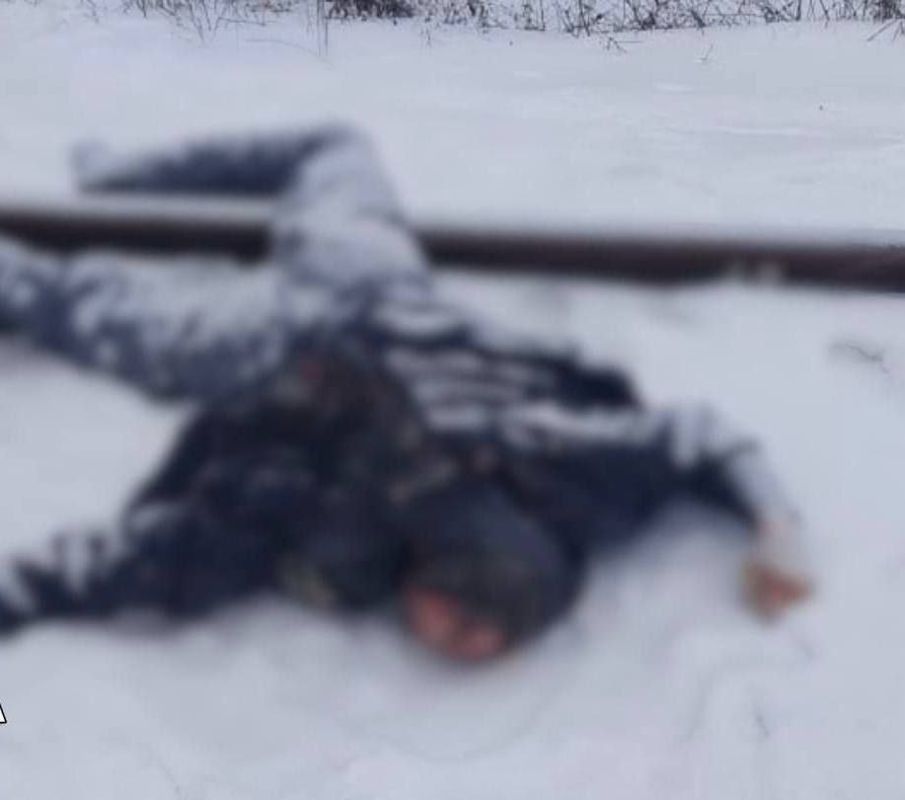 � �������� ����� ���������� ���������� - ����������� ���� �������� ��������������� �������