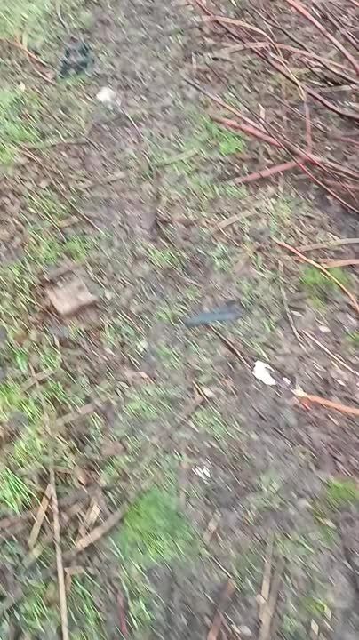 ������������ ����������� 155-��/52 ���������� ������� CAESAR (6�6) ���