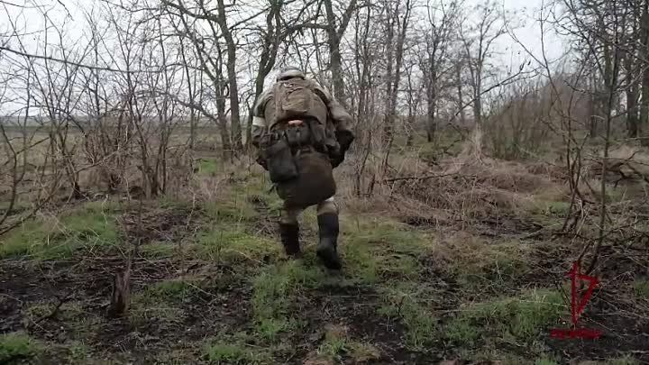 ���������� �������� ���������������-��������� ����������� � ����������� � ���������� ��������