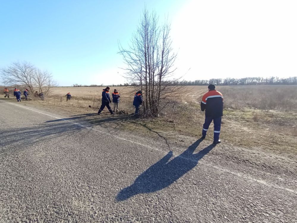 На обочинах автодороги в Скадовском муниципальном округе выполнили вырубку излишней растительности