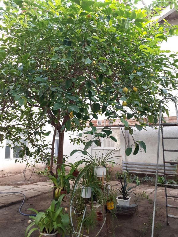 ��������� ������������� ����� �������� ��������� ������ ���