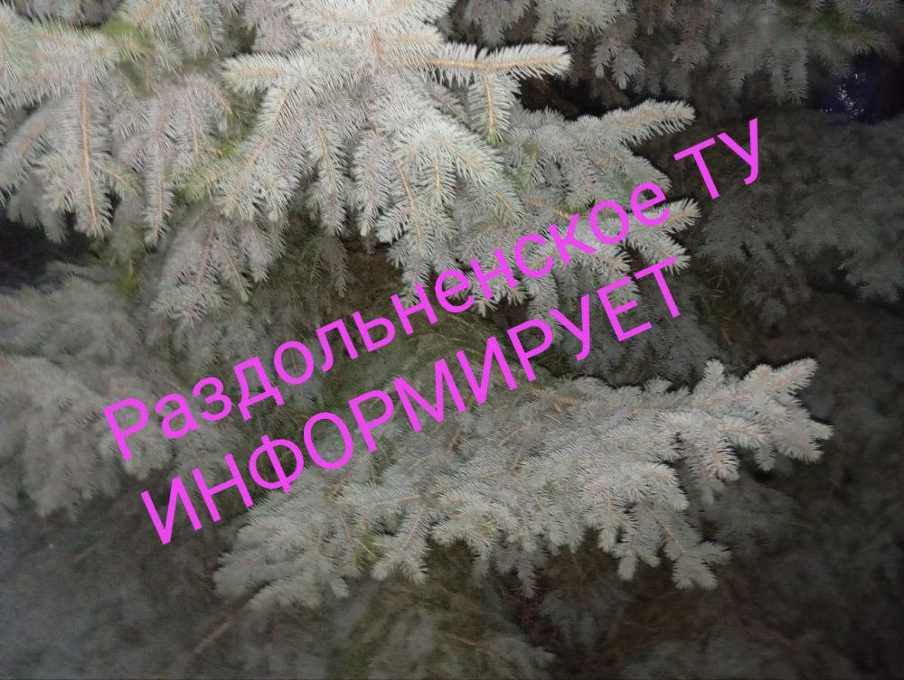 22 ������ � �������������� ���������� ���� ������ 266 ����������� ������� �� ��������� ������������ ������, ����� ��������