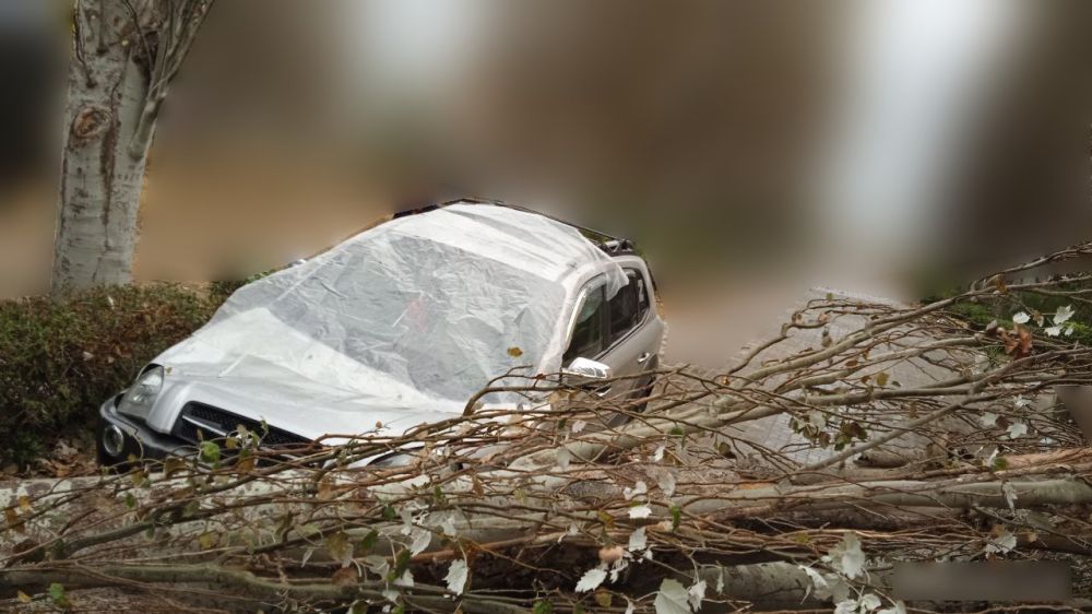 ��������� ������� � ���������������!