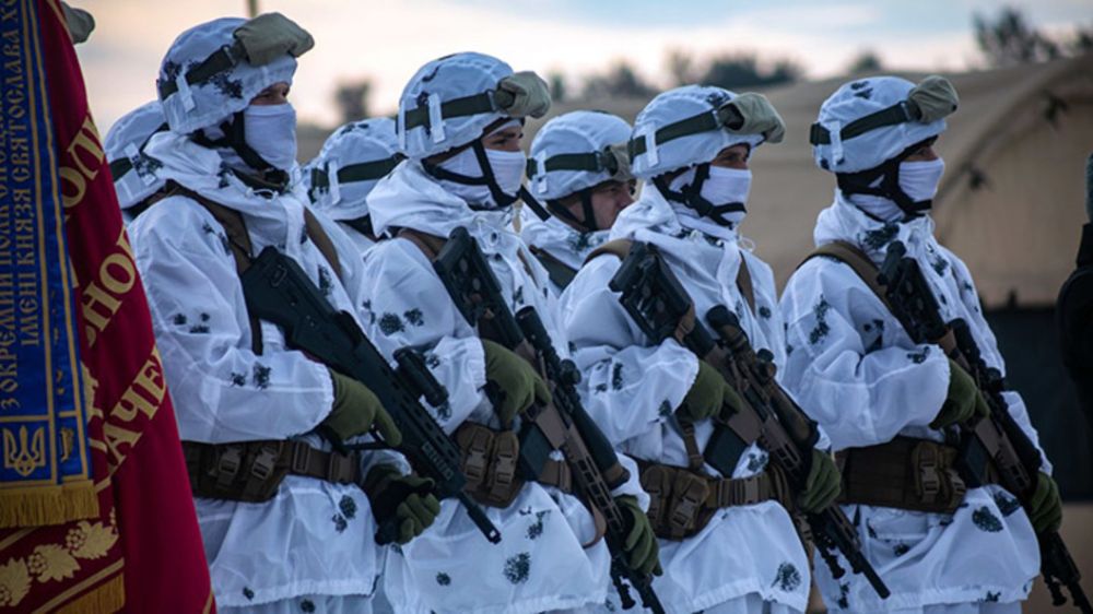 ������������� ���� ������ � ��������: ���� �������� ������, � ������� �� ����� � �������