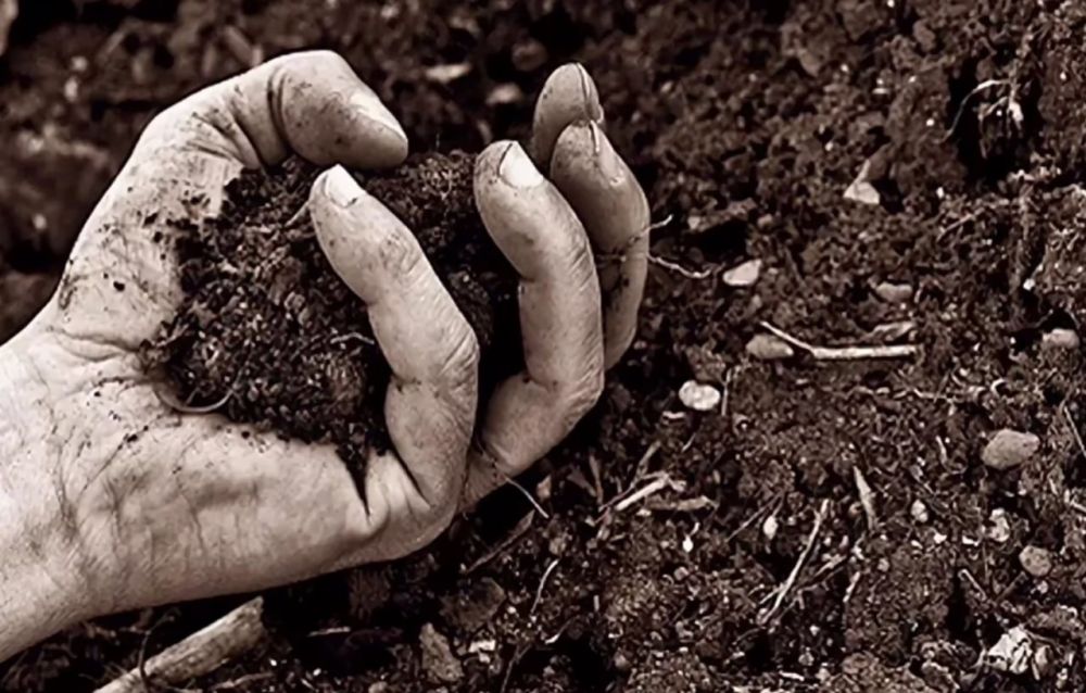 ���� ���������� � ������� � ��� ������ ������ ������