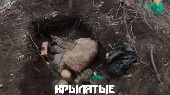 � ���� ��������� ����� � ��������� ���, ������� �� ������� ���������� � �������