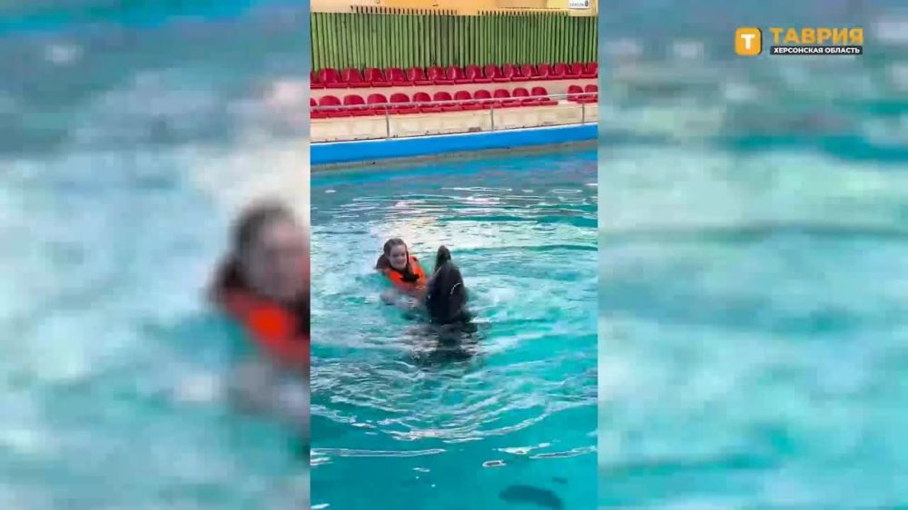 ����������� ������������ ������������� ���������� ������� ����� ��������� �������� ������� �����