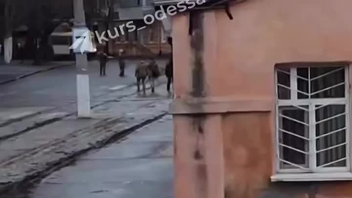 ������ � ���� �������� �������� ����������