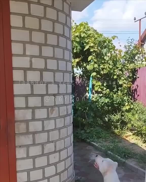 �������, �������� � ������ ������� ���� � ���������� �������� � ������� � ������� ������� ������� ����� ��������