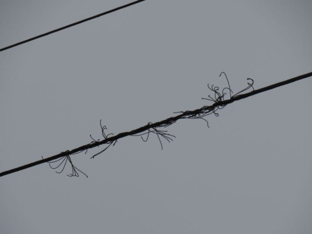 ���������� ���������� ������� ����������� �� ���������� �������������� ������������ �����������, �����������������, ������������� � ����������� ������������� �������