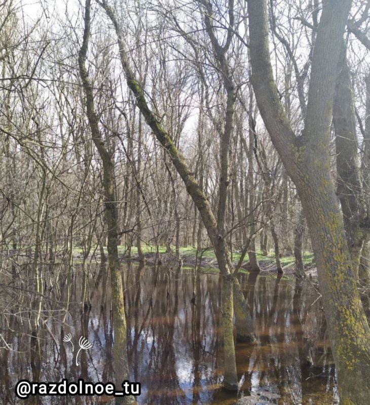 ����������!. ����� ���� �������� � �������