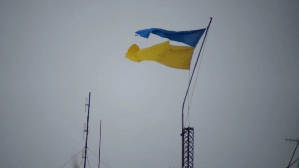 ������� ������� ���������� ������ �������