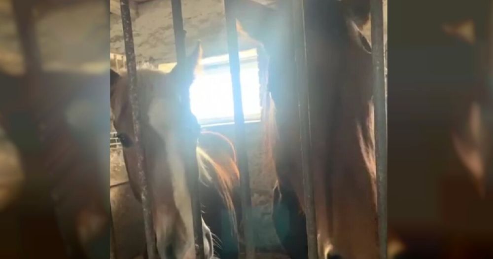 ������ �� ����������� ����� � ���������� ������ �������� ��������� ������ �������������� �������