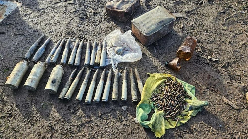 � ������ ������� �������� ������������ ������ ������ 12 �� ������ � �������