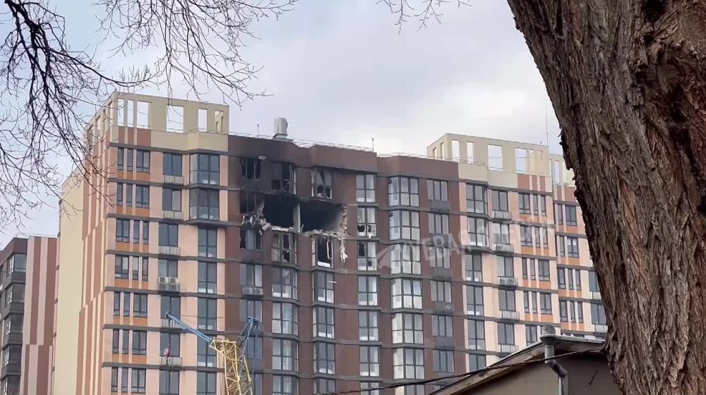 ���� ������