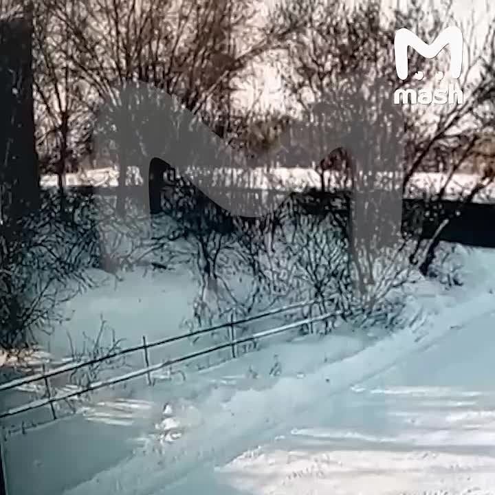 ���� ������� ����� � ���� ���������� ����� ��������� ��������������-�������� ������� � ����������� ������������ �������