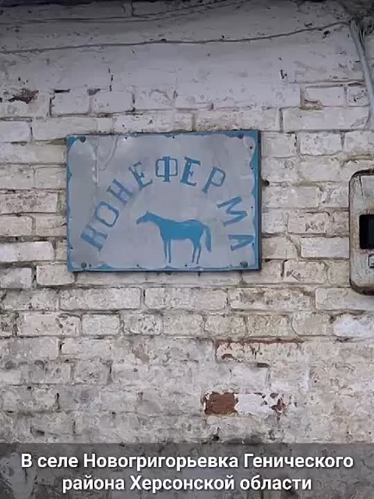 ���� � ����� ��� ��������� ��������� ���������� ����������� ����������� "�������-����"