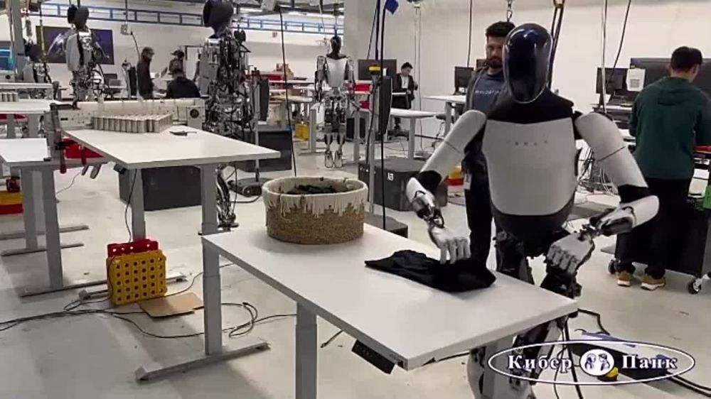 ���� ���� �������, ��� ���������������� ����� Tesla Optimus ���������� �������� �� �����