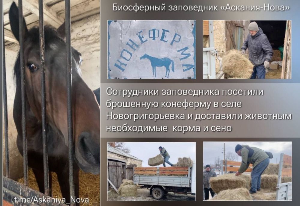 ������� ������ ������ ����