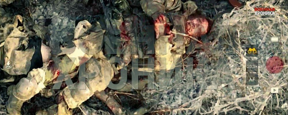 ������ (���������� �������)