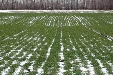 ��������� ������ ������� � ���������� ������� ����������� ��� �������