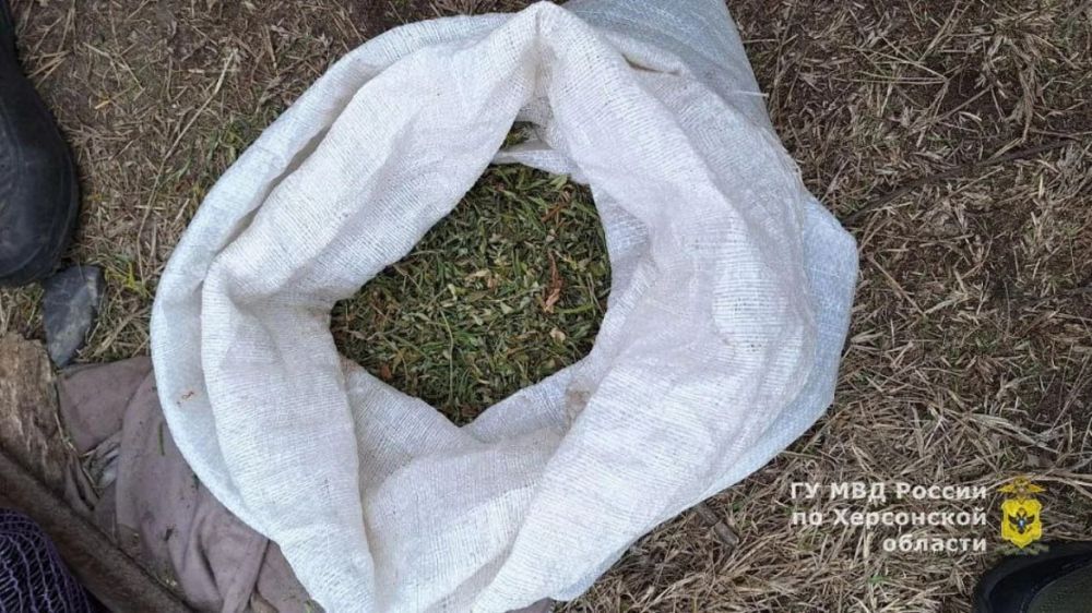 � ����������� ������ ����������� ������ � �������� ������ ����� 2 �� ����������