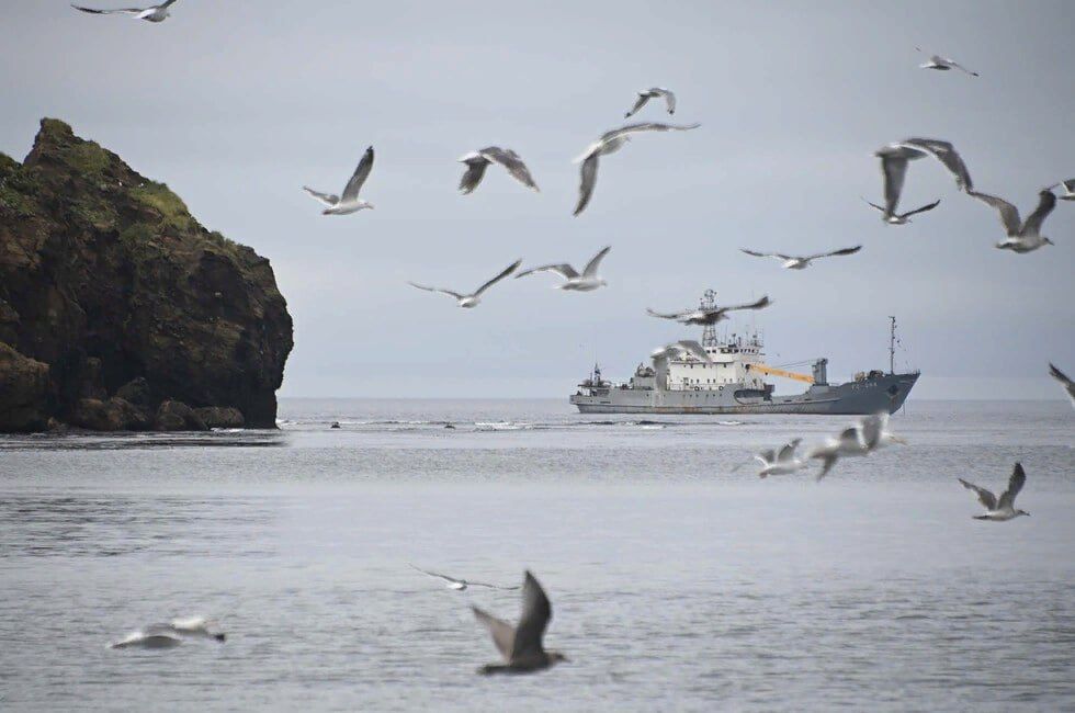 ���, ���, ����������� �������, ���������� �������